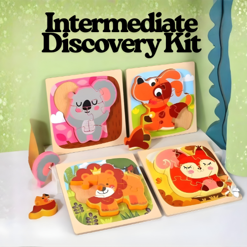 Montessori Learning Wooden Puzzle Set