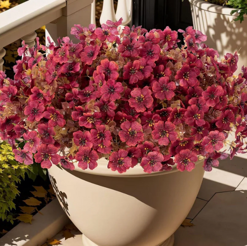 Autumn Harvest Outdoor Fall Flowers