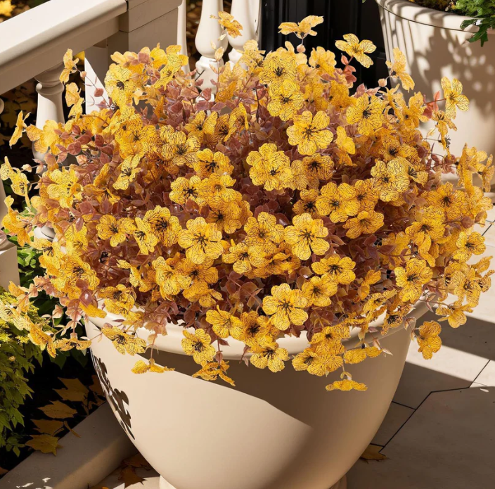 Autumn Harvest Outdoor Fall Flowers