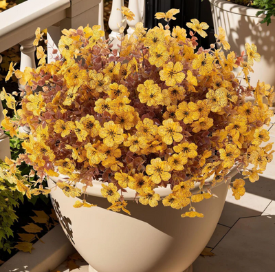 Autumn Harvest Outdoor Fall Flowers