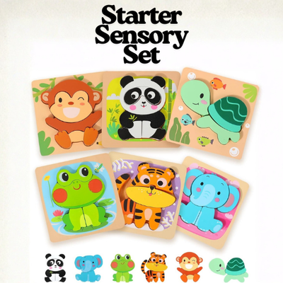 Montessori Learning Wooden Puzzle Set